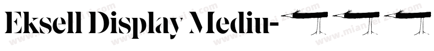 Eksell Display Mediu字体转换